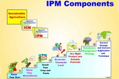 IPM-Components-designed-by-Dr.Ibrahim-Al-Jboory