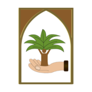 صورة الشبكة العراقية لنخلة التمر