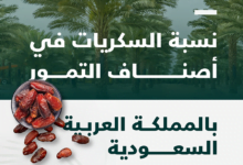 نسبة السكريات في أصناف التمور في المملكة العربية السعودية