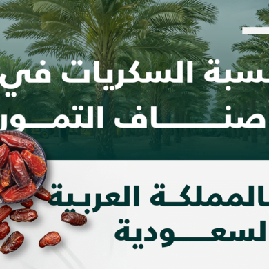 نسبة السكريات في أصناف التمور في المملكة العربية السعودية